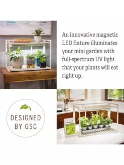 Tabletop Grow Kit -Outdoor Garden Store 8612507 4