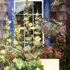 Summer House Outdoor Wall Art 1 Summer House Outdoor Wall Art -Outdoor Garden Store 8612563 01v summer house outdoor wall art