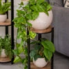 Double Tower Plant Stand -Outdoor Garden Store 8612683 2228 double tower plant stand