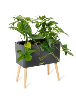 Ava Self-Watering Rectangular Planter 14 Ava Self-Watering Rectangular Planter -Outdoor Garden Store 8612691 0013