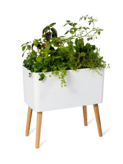 Ava Self-Watering Rectangular Planter 15 Ava Self-Watering Rectangular Planter -Outdoor Garden Store 8612691 0014