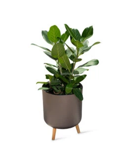 Ava Self-Watering Round Planter -Outdoor Garden Store 8612692 0003