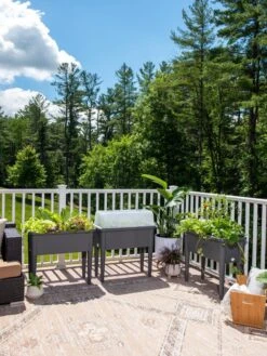 Self-Watering Standing Salad Planter With Cloche -Outdoor Garden Store 8612702 2002 tif