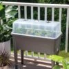 Self-Watering Standing Salad Planter With Cloche -Outdoor Garden Store 8612702 2032 tif