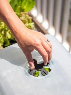 Self-Watering Standing Salad Planter With Cloche -Outdoor Garden Store 8612702 2034 tif