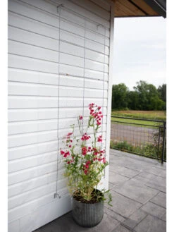 Chicken Wire Wall Trellis 16 Chicken Wire Wall Trellis -Outdoor Garden Store 8612717 0081