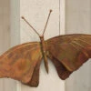 Butterfly Wall Décor -Outdoor Garden Store 8612951 01v