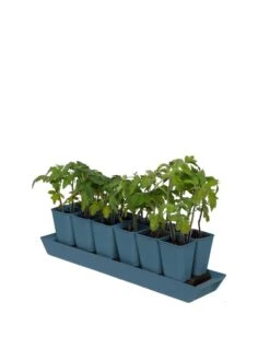 Gardener's Best® XL Seed Starting Kit -Outdoor Garden Store 8613066 0029