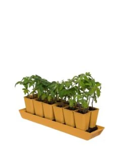 Gardener's Best® XL Seed Starting Kit -Outdoor Garden Store 8613066 1029