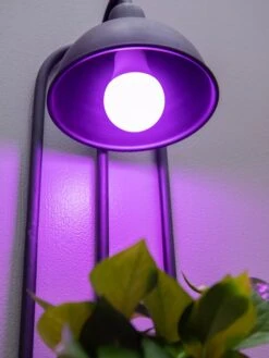Kira Grow Light Hanging Planter -Outdoor Garden Store 8613232 5663
