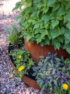 Birdies™ Corten Steel Tiered Round Raised Bed Kit, Tall -Outdoor Garden Store 8613245 0195