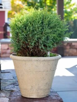 Self-Watering LavaStone® Anson Pot -Outdoor Garden Store 8613255 0144