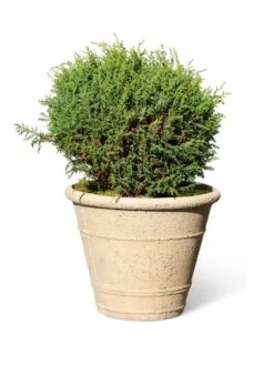 Self-Watering LavaStone® Anson Pot -Outdoor Garden Store 8613255 0150