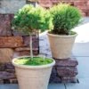 Self-Watering LavaStone® Anson Pot 1 Self-Watering LavaStone® Anson Pot -Outdoor Garden Store 8613256 0124 self watering lavastone anson pot