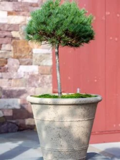 Self-Watering LavaStone® Anson Pot -Outdoor Garden Store 8613256 0135