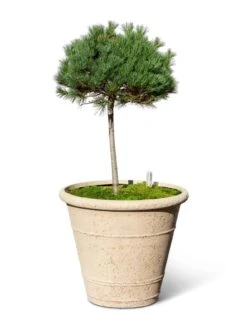 Self-Watering LavaStone® Anson Pot -Outdoor Garden Store 8613256 0138