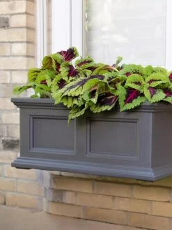 Fairfield Self-Watering Window Box, 2’ 13 Fairfield Self-Watering Window Box, 2’ -Outdoor Garden Store 8613268 08V tif