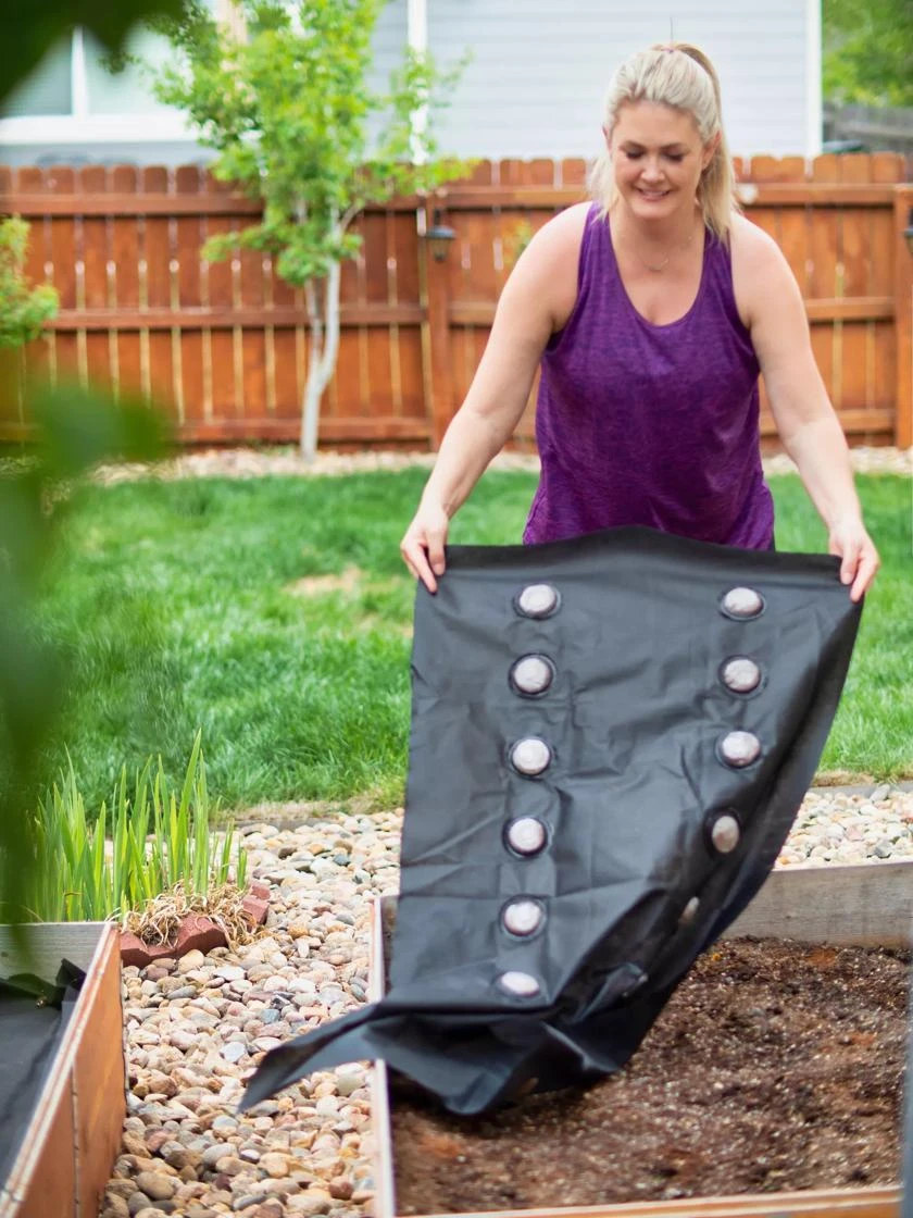 SeedSheets Organic Vegetable Garden, Spicy Sinola Salsa, 4' X 8' 6 SeedSheets Organic Vegetable Garden, Spicy Sinola Salsa, 4' X 8' - Image 4