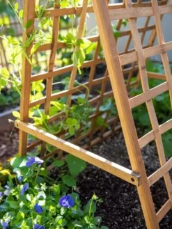 Bambo A Frame Plant Support, 30" X 42.5" -Outdoor Garden Store 8613310 6556