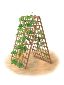 Bambo A Frame Plant Support, 30" X 42.5" -Outdoor Garden Store 8613310 art flat