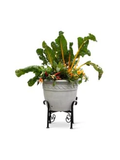 Covington Adjustable Plant Stands -Outdoor Garden Store 8613347 0119