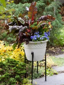 Covington Adjustable Plant Stands -Outdoor Garden Store 8613348 0114