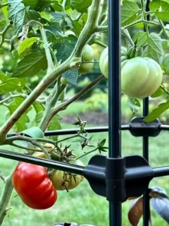 Oasis Self-Watering Tomato Planter With Trellis -Outdoor Garden Store 8613440 01TEST