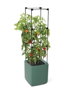 Oasis Self-Watering Tomato Planter With Trellis -Outdoor Garden Store 8613440 06134