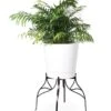 Aubrey Adjustable Plant Stand 1 Aubrey Adjustable Plant Stand -Outdoor Garden Store 8613454 5716 aubrey adjustable plant stand