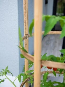 Elevated Bamboo Tomato Planter And Trellis 13 Elevated Bamboo Tomato Planter And Trellis -Outdoor Garden Store 8613502 0423