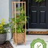 Elevated Bamboo Tomato Planter And Trellis 2 Elevated Bamboo Tomato Planter And Trellis -Outdoor Garden Store 8613502 13