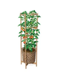 Elevated Bamboo Tomato Planter And Trellis 15 Elevated Bamboo Tomato Planter And Trellis -Outdoor Garden Store 8613502 art flat