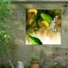 Butterfly Kiss Outdoor Wall Art 1 Butterfly Kiss Outdoor Wall Art -Outdoor Garden Store 8613998 02V butterfly kiss outdoor wall art