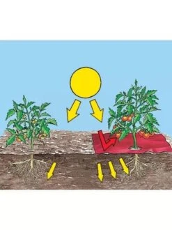 Red Tomato Mulch -Outdoor Garden Store GS30005 05