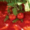 Red Tomato Mulch -Outdoor Garden Store GS30005 07