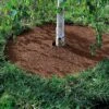 Coco Coir Tree Rings, Set Of 2 2 Coco Coir Tree Rings, Set Of 2 -Outdoor Garden Store GS33501 04 001E tif