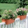 2' X 4' Railing Planter, 25" -Outdoor Garden Store GS34336 01 24 inch 2x6 railing planters