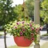 Self-Watering Hanging Basket 1 Self-Watering Hanging Basket -Outdoor Garden Store GS34368 10 tif