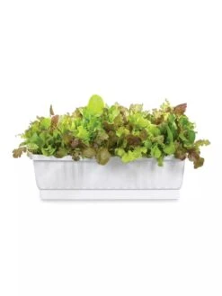 31" Self-Watering Window Box -Outdoor Garden Store GS36523 01Z 3 4