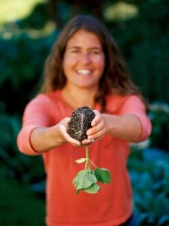 Deep Root Seedstarting System, Black 7 Deep Root Seedstarting System, Black -Outdoor Garden Store GSCOVSPR06D2 01