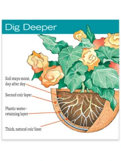 AquaSav™ Replacement Liners, Set Of 3 8 AquaSav™ Replacement Liners, Set Of 3 -Outdoor Garden Store hiw 38 583