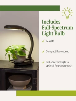 Agrobrite Desktop Plant Light -Outdoor Garden Store webimage Agrobrite Desktop